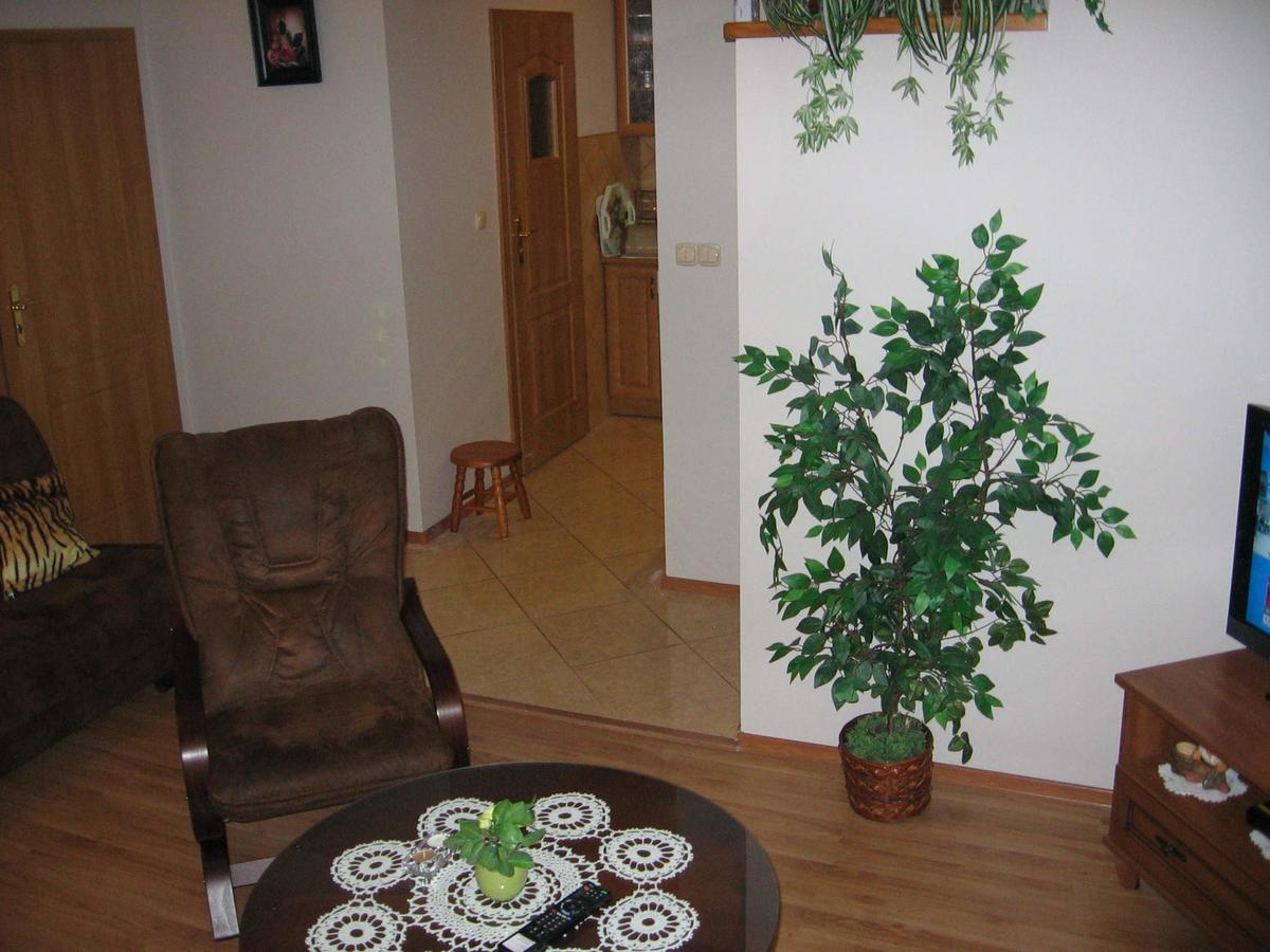 Apartament Zuzia ジビジノ エクステリア 写真